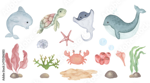 Watercolour set of marine animals