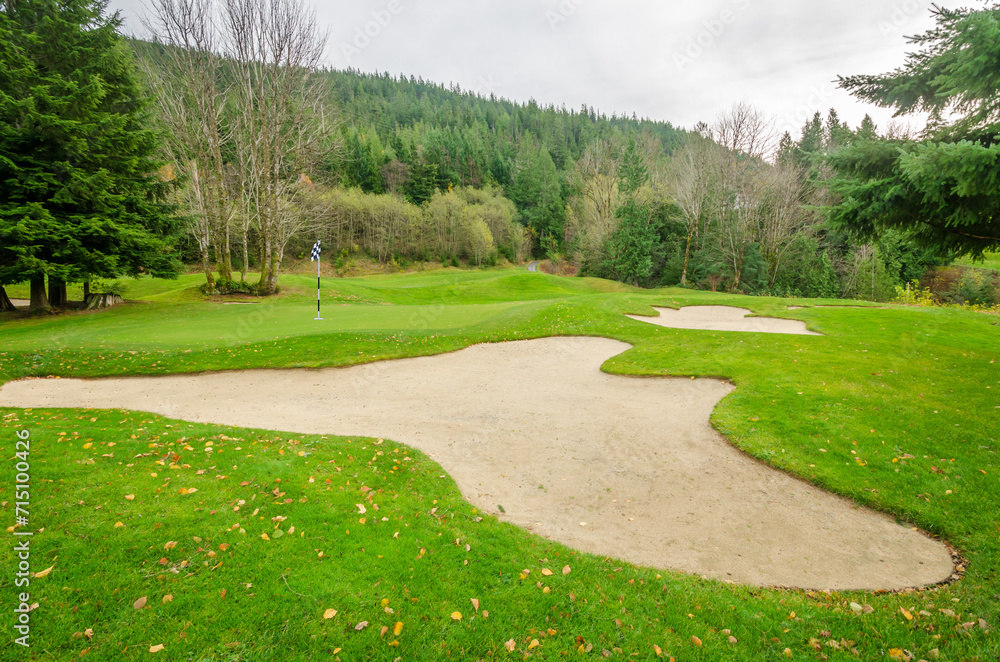 golf course with gorgeous green and fantastic forest view in Vancouver, Canada