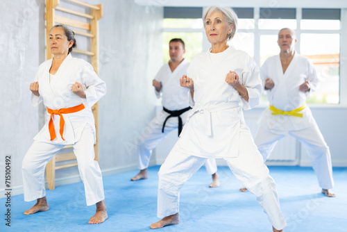 Diligent elderly women and men attendee of karate classes practicing kata standing in row with others in sports hall