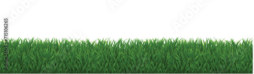 green grass background