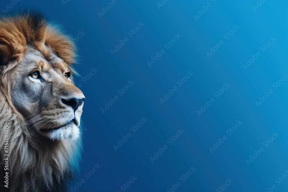  a close up of a lion's face on a blue background with a blurry image of the lion's head.