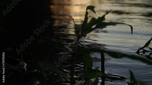 Potomac River during orange dawn and dusk lighting