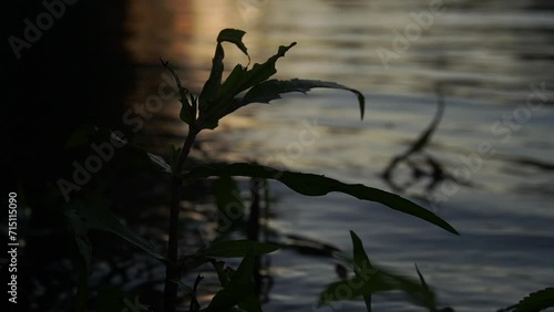 Potomac River during orange dawn and dusk lighting