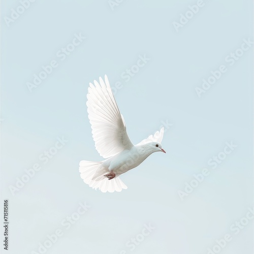 A minimalist composition featuring a white dove in flight against a clear sky. The image represents purity and freedom, isolated on white background.