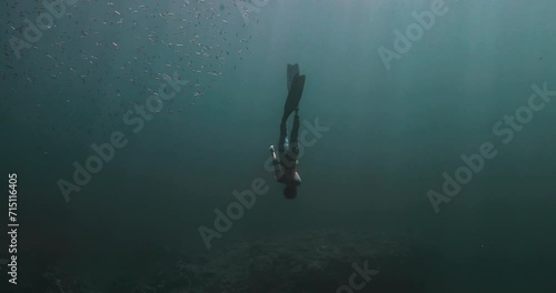 Wallpaper Mural Beautiful woman freediving deep in the Indian Ocean. Torontodigital.ca