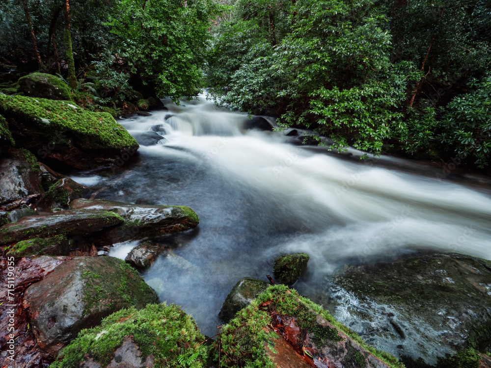 Obraz premium Stunning nature scene with fast flowing water in a stream near Torc waterfall. Killarney, Ireland, ring of Kerry route. Magnificent Irish nature landmark and popular tourist area with easy access.