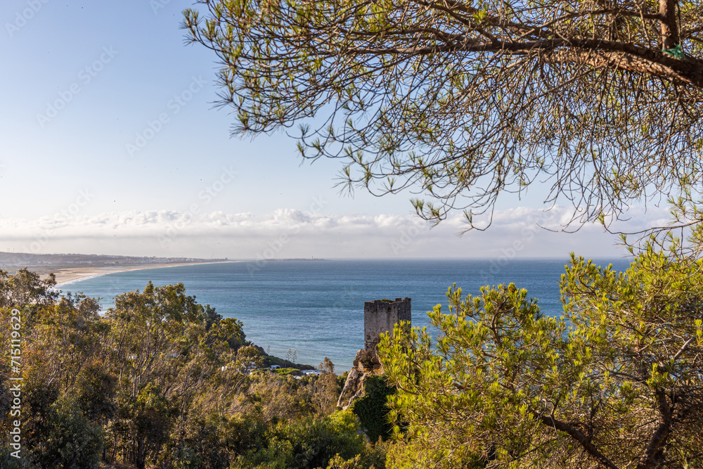 Fantastic view on the sea on the coast in summer with green pine Fantastic view on the sea on the coast in summer with green pine