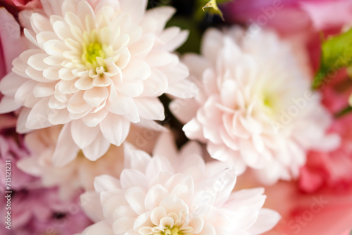 Beautiful pink flowers close-up with space for copy, postcard. Beautiful background with delicate light chrysanthemums, macro photography of flowers, gift mother's day, wedding, birthday