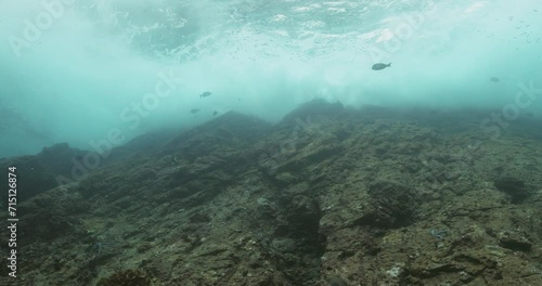 Wallpaper Mural Underwater shot of fishes and waves breaking over reefs. Torontodigital.ca