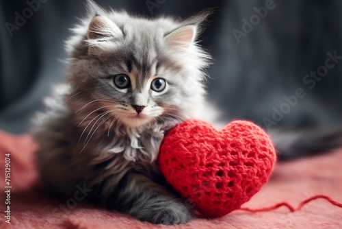 Gray Fluffy Kitten with Red Knitted Heart  photo