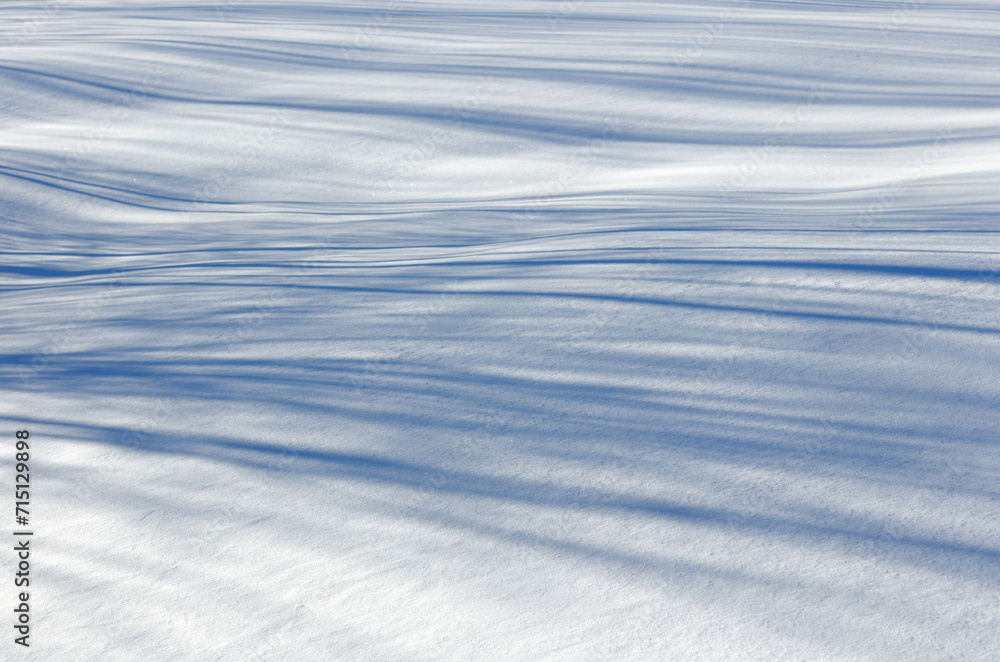 Tree shadows on the snow Tree shadows on the snow