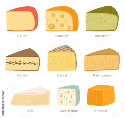 Cheese Collection Isolated on White Background. Gouda, Maasdam, Beemster, Morbier And Cantal. Parmigiano, Brie