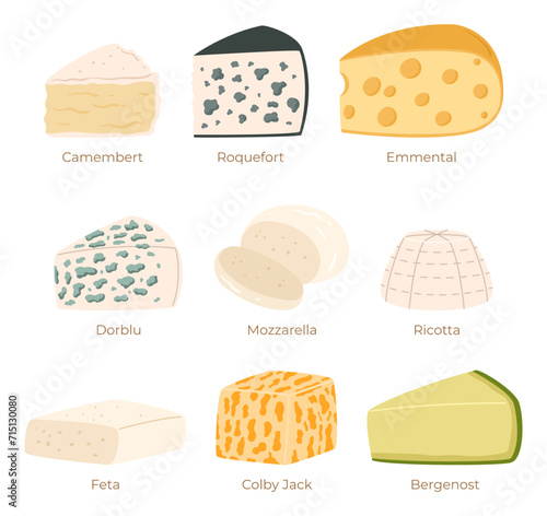 Cheese Collection Camembert, Roquefort, Emmental and Dorblu, Mozzarella And Ricotta. Feta, Colby Jack or Bergenost