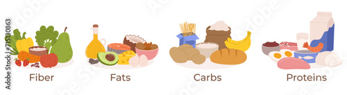 Vector Set Healthy Food Groups. Fiber, Fats, Carbs or Proteins Include Fruits, Vegetables, Whole Grains, Lean Proteins