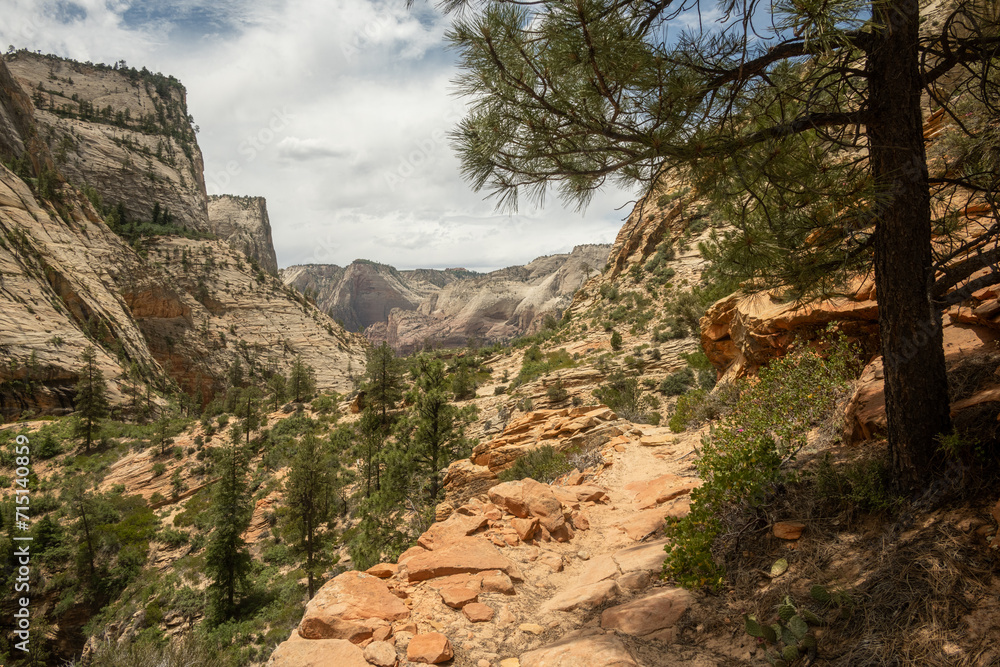 East Rim Trail Hugs Cliffside in Zion East Rim Trail Hugs Cliffside in Zion