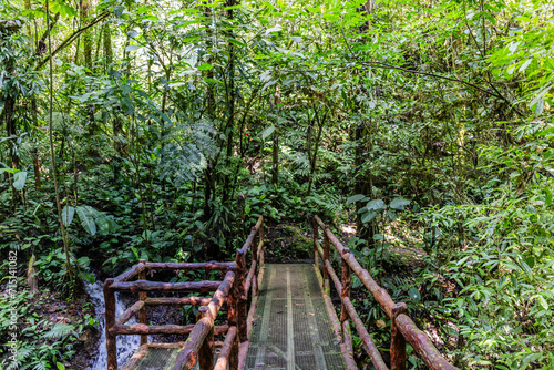 Chachagua Rainforest Costa Rica