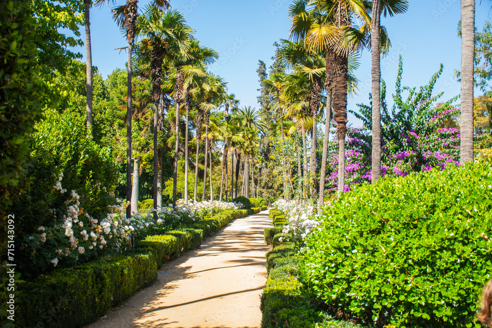 Fototapeta premium Beautiful flower garden with palm trees and various trees on a sunny, tropical day
