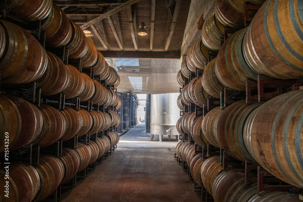 Fototapeta premium Oak barrels for maturation of Chilean wine in a wine cellar with cilo in the background
