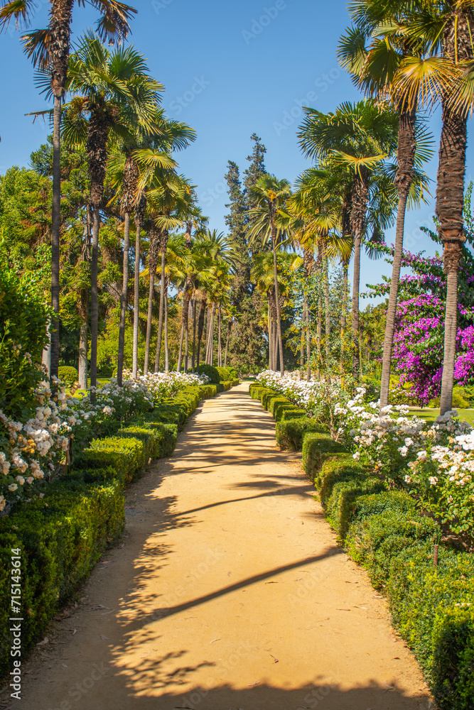 Beautiful flower garden with palm trees and various trees on a sunny tropical summer day