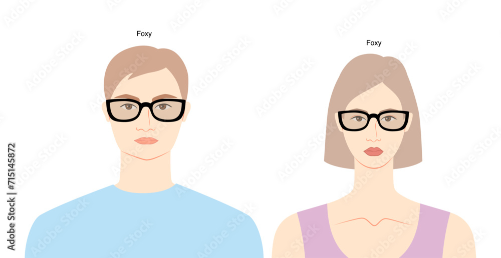 Foxy frame glasses on women and men flat character fashion accessory illustration. Sunglass front view unisex silhouette style, rim spectacles eyeglasses with lens outline isolated on white background Foxy frame glasses on women and men flat character fashion accessory illustration. Sunglass front view unisex silhouette style, rim spectacles eyeglasses with lens outline isolated on white background
