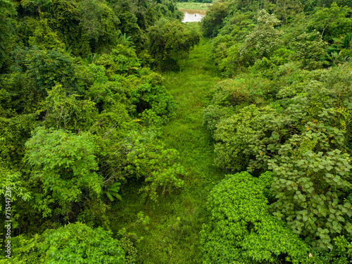 Aerial view Drone camera top view rainforest trees ecology with healthy environment concept and summer background,Green environment background