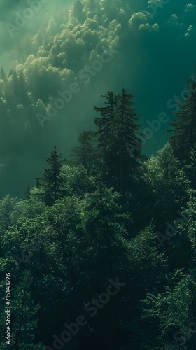 mobile wallpaper of trees in green nature landscape