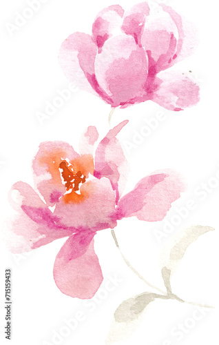 Pink Magnolia Hand Painted Watercolor Flower