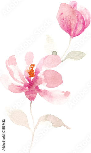 Pink Magnolia Hand Painted Watercolor Flower