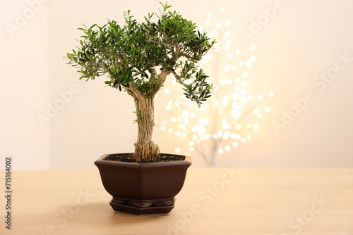 Beautiful bonsai tree in pot on wooden table, space for text
