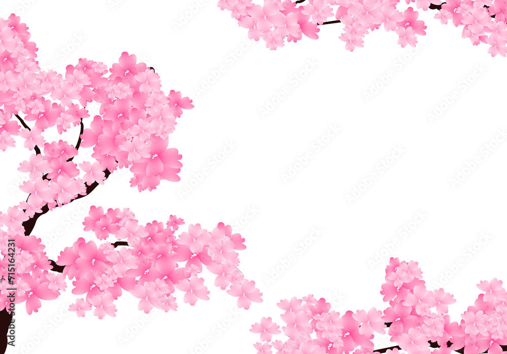 Sakura Branch Background, Cherry Blossom Border. Spring Flowers Frame Illustration Hand Drawn Clipart. Sakura Branch Background, Cherry Blossom Border. Spring Flowers Frame Illustration Hand Drawn Clipart.