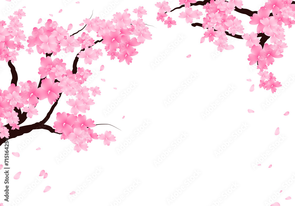 Sakura Branch Background, Cherry Blossom Border. Spring Flowers Frame Illustration Hand Drawn Clipart. Sakura Branch Background, Cherry Blossom Border. Spring Flowers Frame Illustration Hand Drawn Clipart.