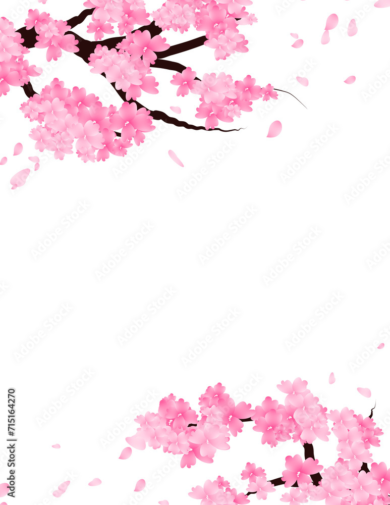 Cherry Blossom Flowers Frame. Spring Sakura Bloom Falling Petals Border Background.