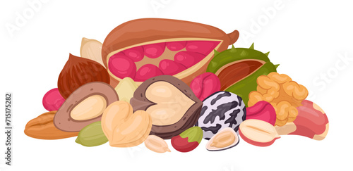 Raw nuts handful. Seeds and nuts bunch, peanut, cashew, almond and walnut mix, vegetarian diet organic mix flat vector illustration. Cartoon nuts mix