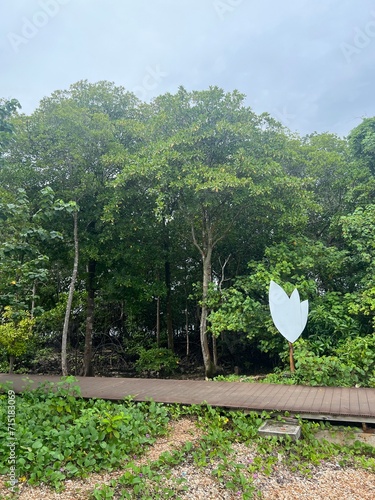 landscape with trees