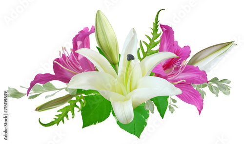 White and pink Lily flower bouquet isolated on transparent background for card and decoration