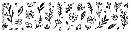 Flower doodle hand drawn line stroke. Sketch hand drawn spring floral plant, nature graphic leaf, scribble grunge brush texture. Vector simple flower, leaf brush stroke. Vector illustration #715192418