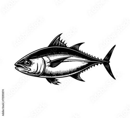 Tuna Fish Hand Drawn vector illustration vintage