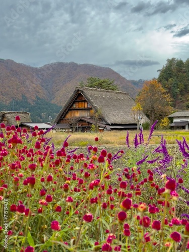Historical traditional grass huts in Shirakawago Village Japan