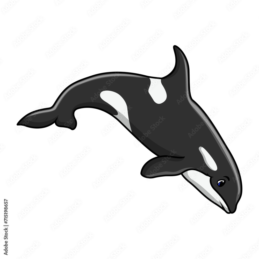 Fototapeta premium Cute orca cartoon a swimming
