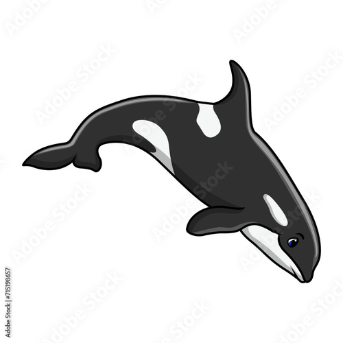 Cute orca cartoon a swimming
