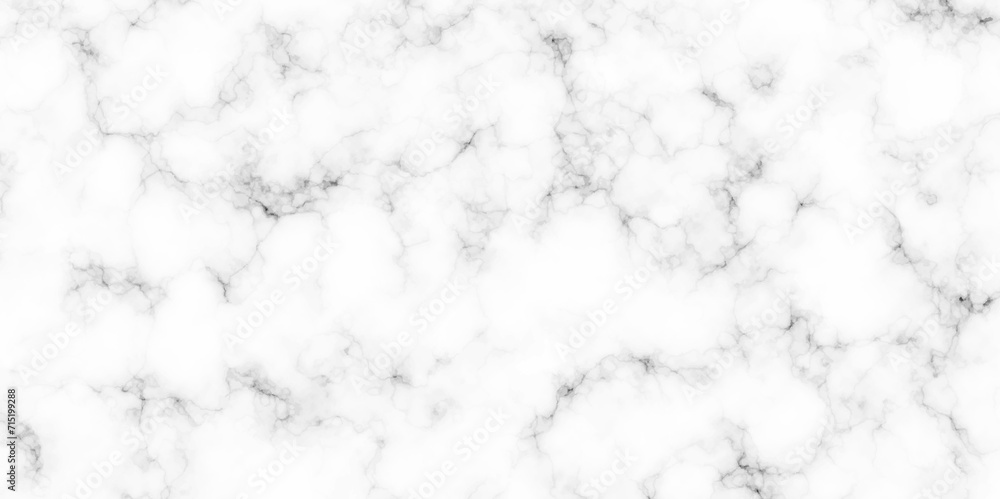 White Marble texture wall and floor paint luxury, grunge background. White and black beige natural vintage isolated marble texture background vector. cracked Marble texture frame background. White Marble texture wall and floor paint luxury, grunge background. White and black beige natural vintage isolated marble texture background vector. cracked Marble texture frame background.