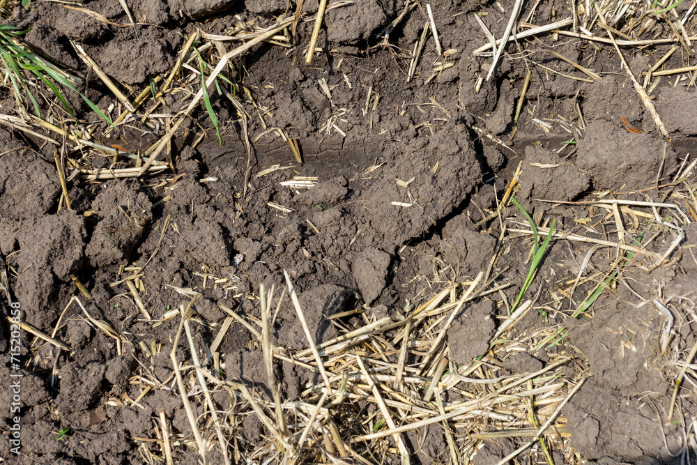 Soil in the field during the onset of drought, cracks from drying out. Soil in the field during the onset of drought, cracks from drying out.