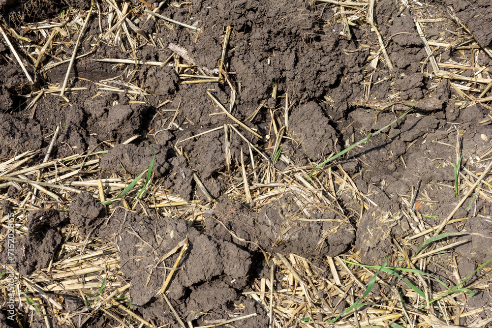 Soil in the field during the onset of drought, cracks from drying out. Soil in the field during the onset of drought, cracks from drying out.