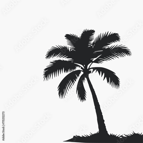 palm tree silhouette isolated