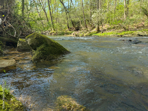 Creek flowing in the woods of Alabama