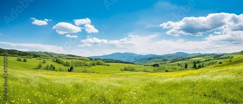landscape with meadow and sky