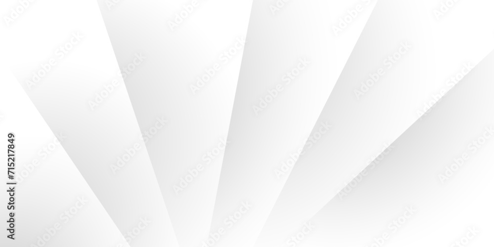 Abstract white and gray shape background. texture white pattern. vector illustration		