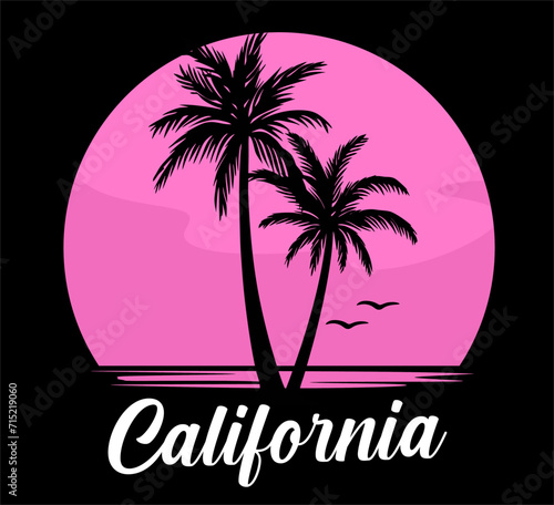 California state United States of America