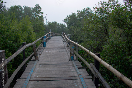 A bamboo bridge at the entry point of  Henry island  near Bakkhali  24 Parganas  India.