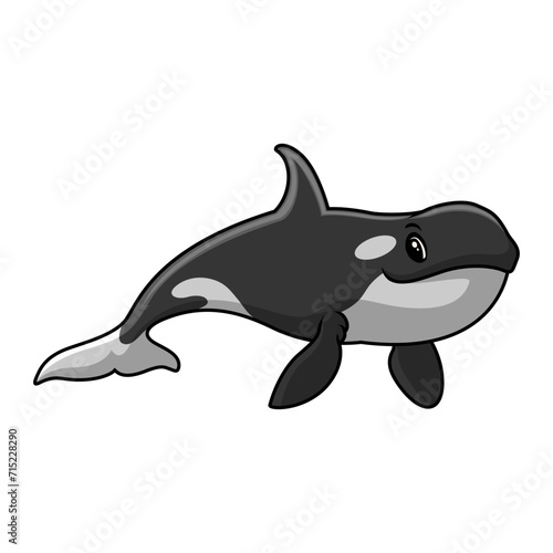 Cute orca cartoon a swimming